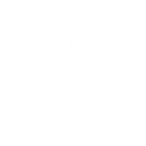 Lil Stitch Studio